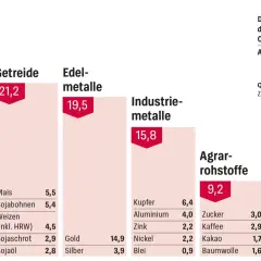 Der Bloomberg Commodity Index bildet Rohstoffe ab. Energie (29,9%) dominiert, gefolgt von Getreide (21,2%) und Edelmetallen (19,5%). Ein Minen-ETF könnte diese Sektoren abbilden.