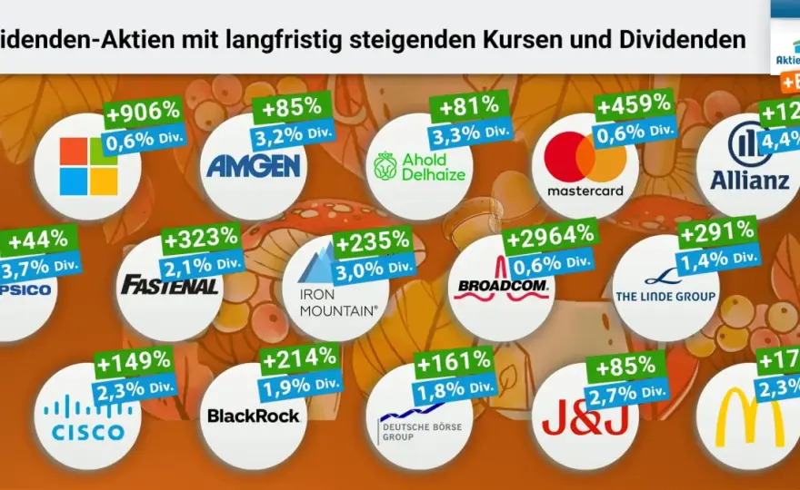 Aktien-Einkommen - Dividenden & Kurse verstehen lernen