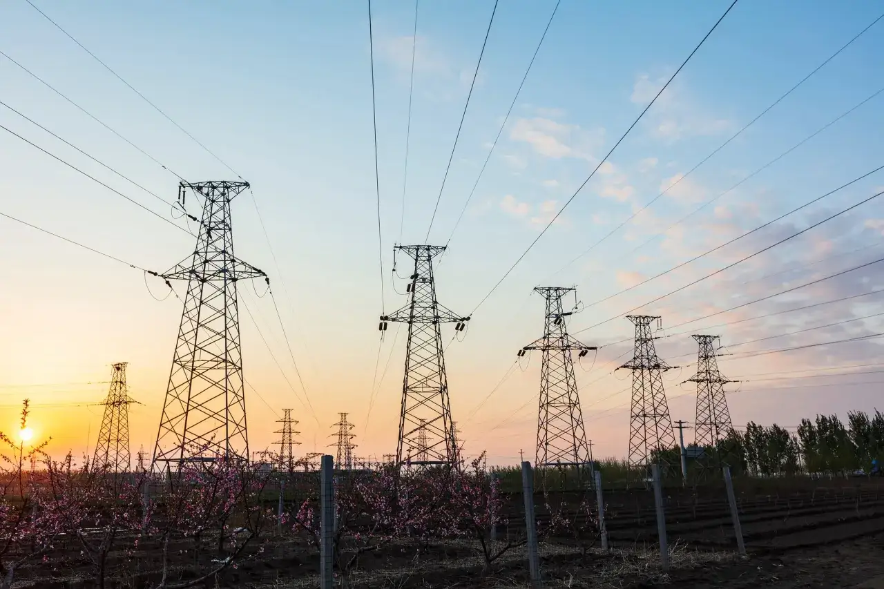 Strommasten im Abendlicht, ein Symbol f&uuml;r Energieversorgung und die Hoffnung auf stabile stromanbieter aktien. Bl&uuml;hende B&auml;ume im Vordergrund.